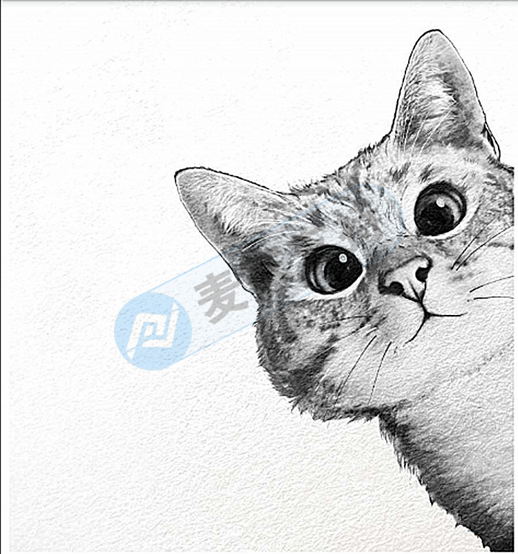 Keith律所又代理一位插畫師，LAURA GRAVES PRODUCTS版權圖片維權！法院已批準TRO動議，賣家注意排查！