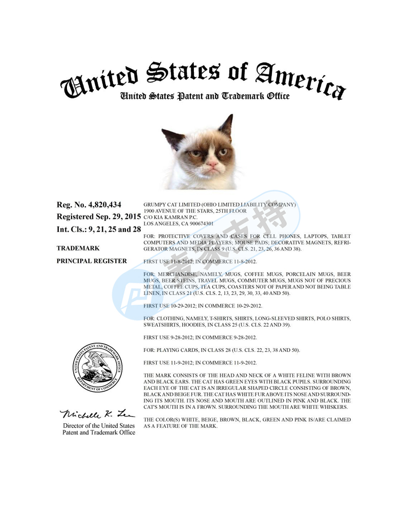 不爽貓 Grumpy Cat發(fā)案頻繁，HSP律所代理品牌再次維權！