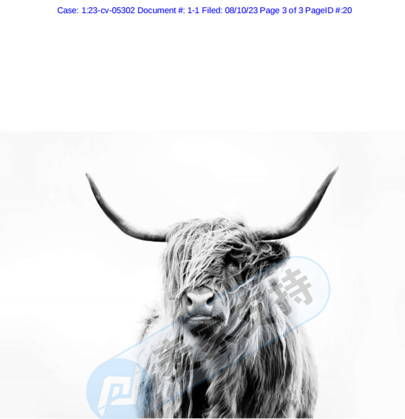 速查!版權(quán)畫重災(zāi)區(qū)再發(fā)新案！Dorit Maritta Fuhg申請版權(quán)維權(quán)