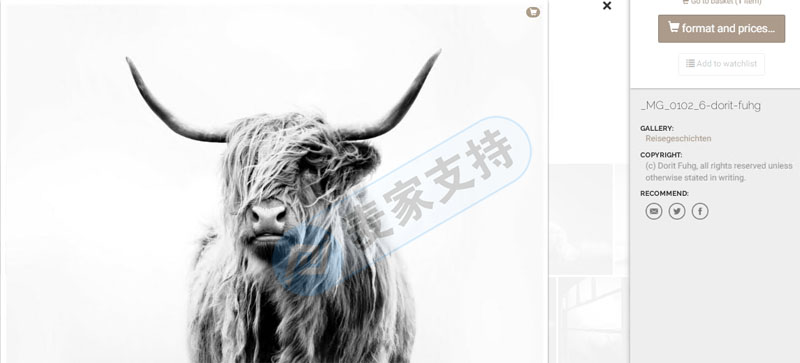 速查!版權(quán)畫重災(zāi)區(qū)再發(fā)新案！Dorit Maritta Fuhg申請版權(quán)維權(quán)