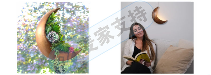跨境侵權(quán)預(yù)警——懸掛式月亮形狀花盆好看但侵權(quán)