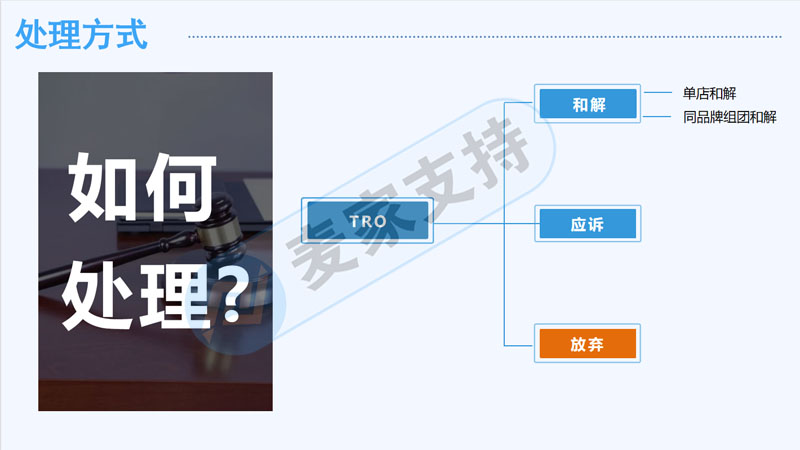 麥家支持受邀出席第二屆北方跨境品牌出海峰會就跨境電商TRO侵權問題的若干分享
