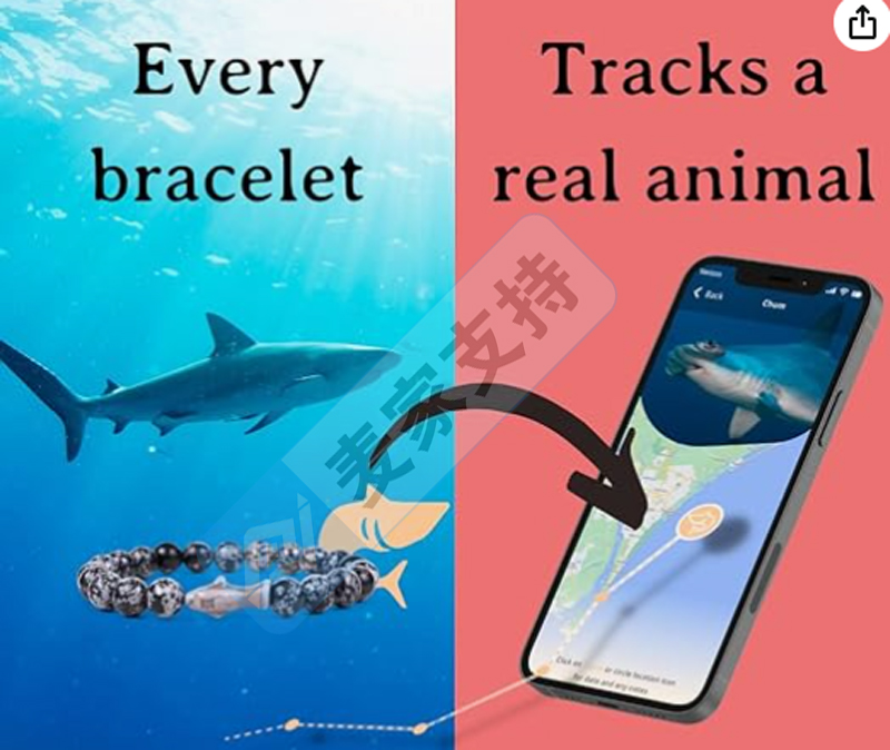 跨境侵權預警——時尚獨特的鯊魚手鏈上架有風險