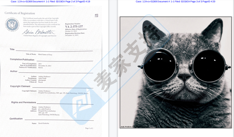 高危警示！Andrey Prokhorov戴墨鏡的貓引發連環訴訟！跨境賣家速查