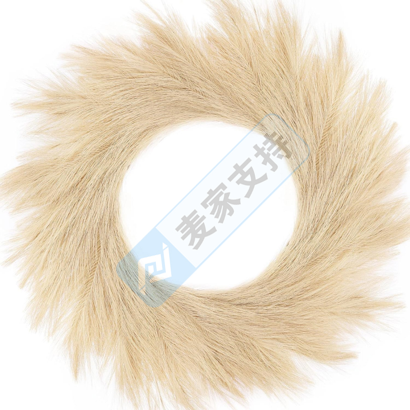 跨境侵權(quán)預(yù)警——這個(gè)常見的潘帕斯草花環(huán)，美國外觀專利已經(jīng)下證！
