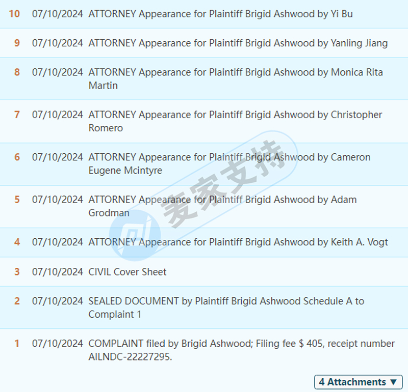 4-cv-05834，當代藝術家Brigid